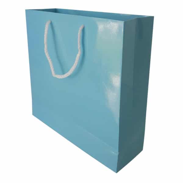 25 x 24,5 x 8 cm Cardboard Bag Blue Color